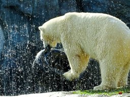 Tiergarten Schönbrunn am 23.03.2023